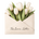Translation missing: en.The Linen Letter accessibility.home
